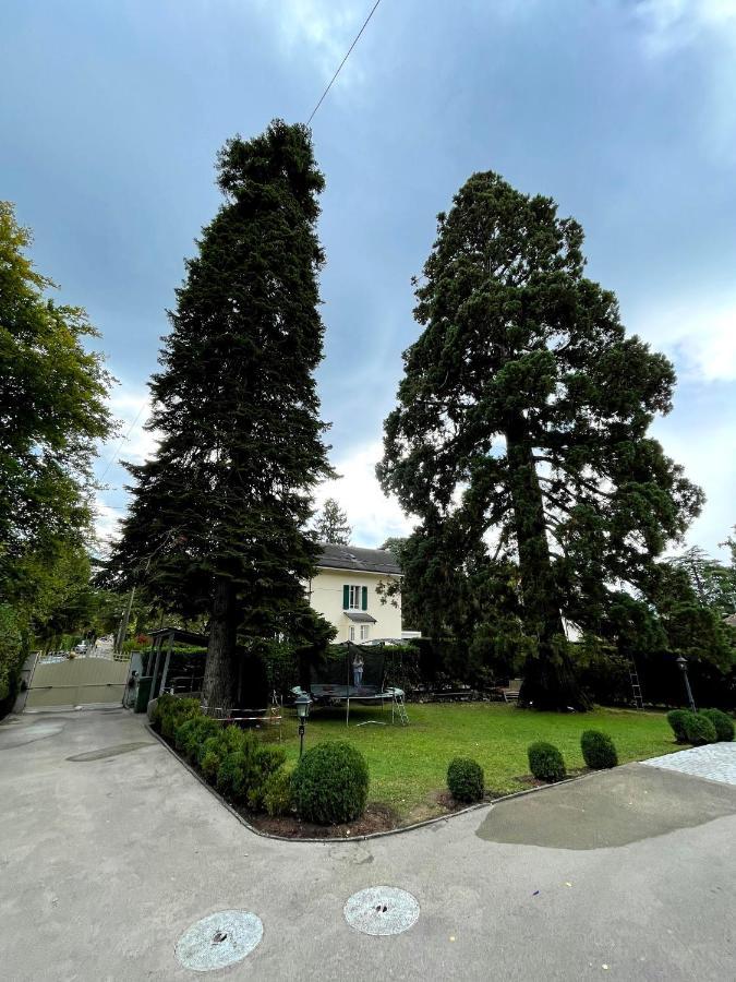 Residence Mont-Blanc Γενεύη Εξωτερικό φωτογραφία