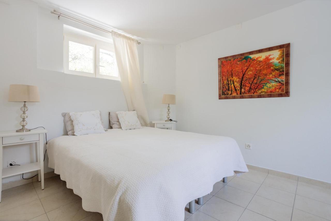 Residence Mont-Blanc Γενεύη Εξωτερικό φωτογραφία